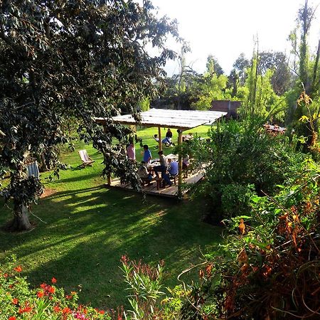 לינה וארוחת בוקר Hacienda Santa Rosa La Casa Del Tilo מראה חיצוני תמונה