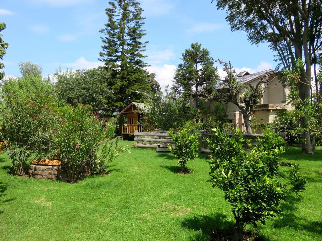 לינה וארוחת בוקר Hacienda Santa Rosa La Casa Del Tilo מראה חיצוני תמונה
