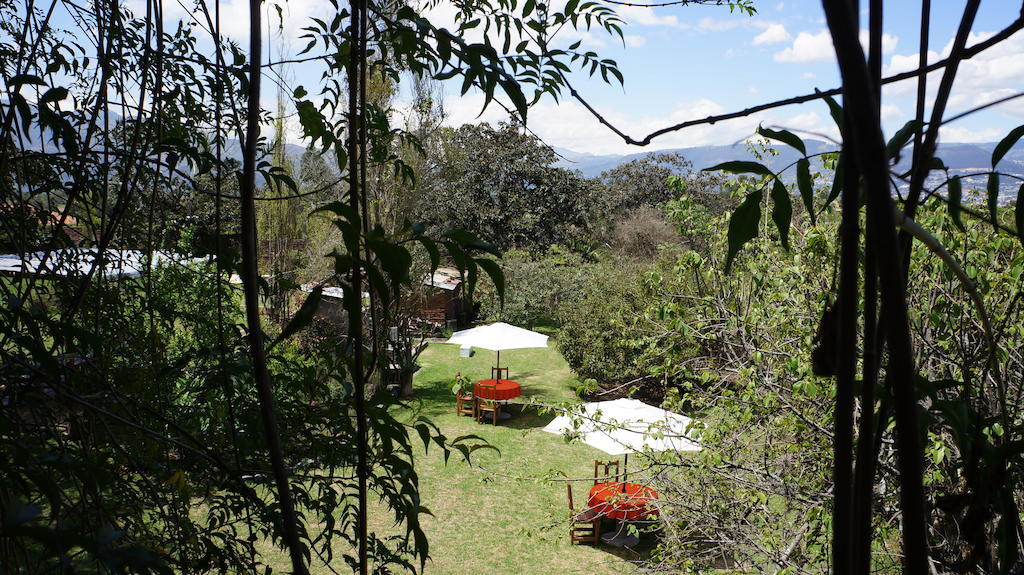 לינה וארוחת בוקר Hacienda Santa Rosa La Casa Del Tilo מראה חיצוני תמונה