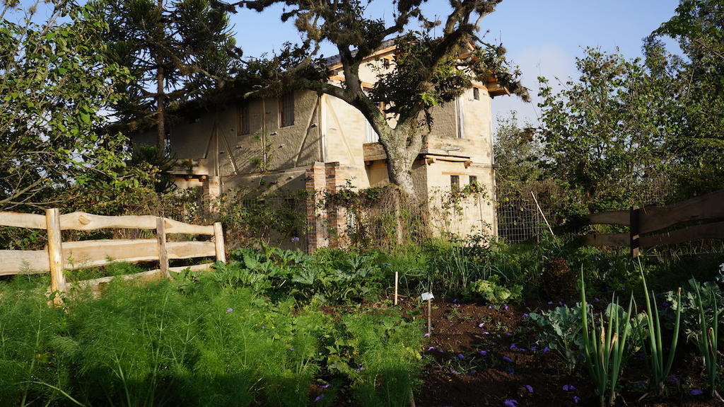 לינה וארוחת בוקר Hacienda Santa Rosa La Casa Del Tilo מראה חיצוני תמונה
